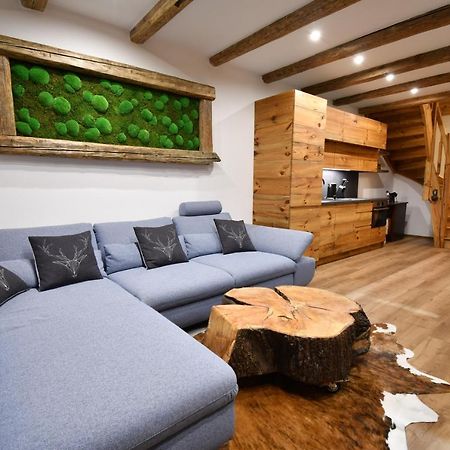 Chalet Apartments Mastal Železná Ruda 외부 사진